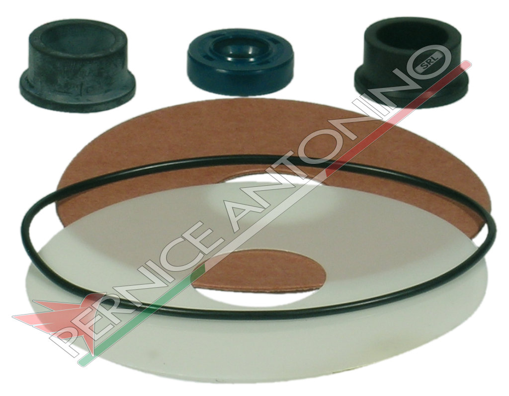 GASKET KIT FOR PUMPS AND ELECTRIC PUMPS