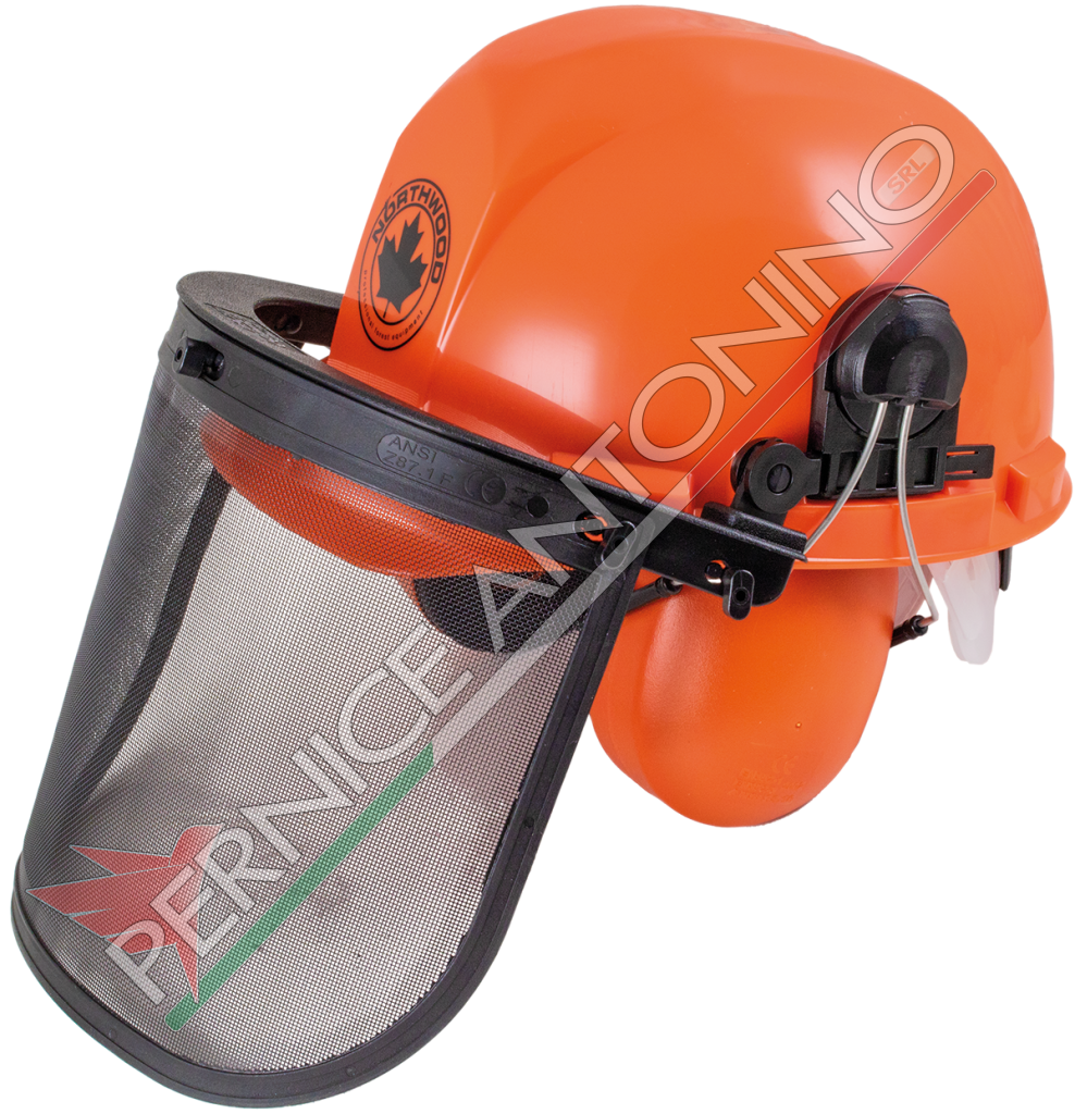 Helmet for forestry work complete with ear muffs and gauze visor