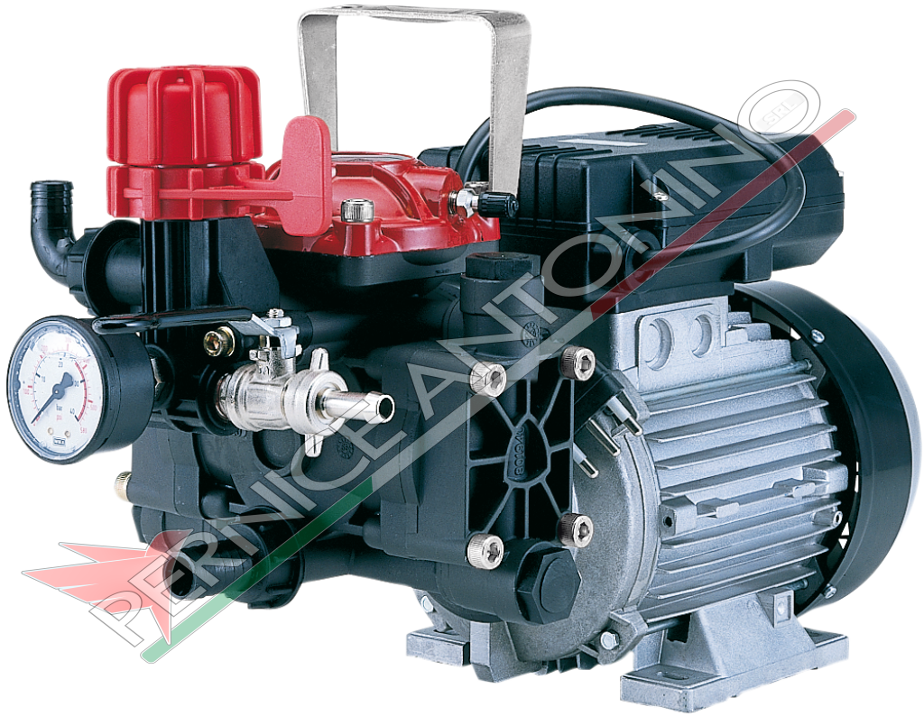 Electric pump with 2 diaphragms