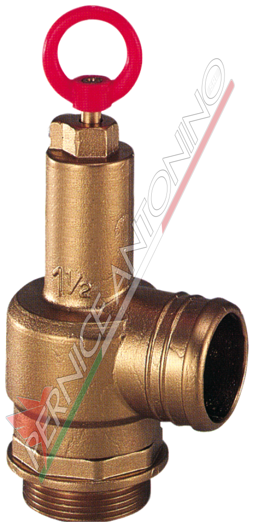 SECURITY VALVES WITH HOSE CONNECTION