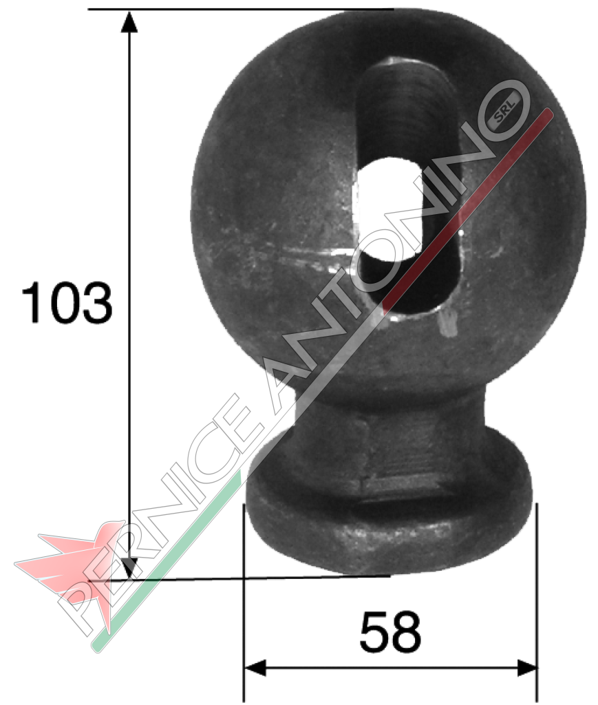 SFERA AGRICOLA ؠ78 AD ASOLA