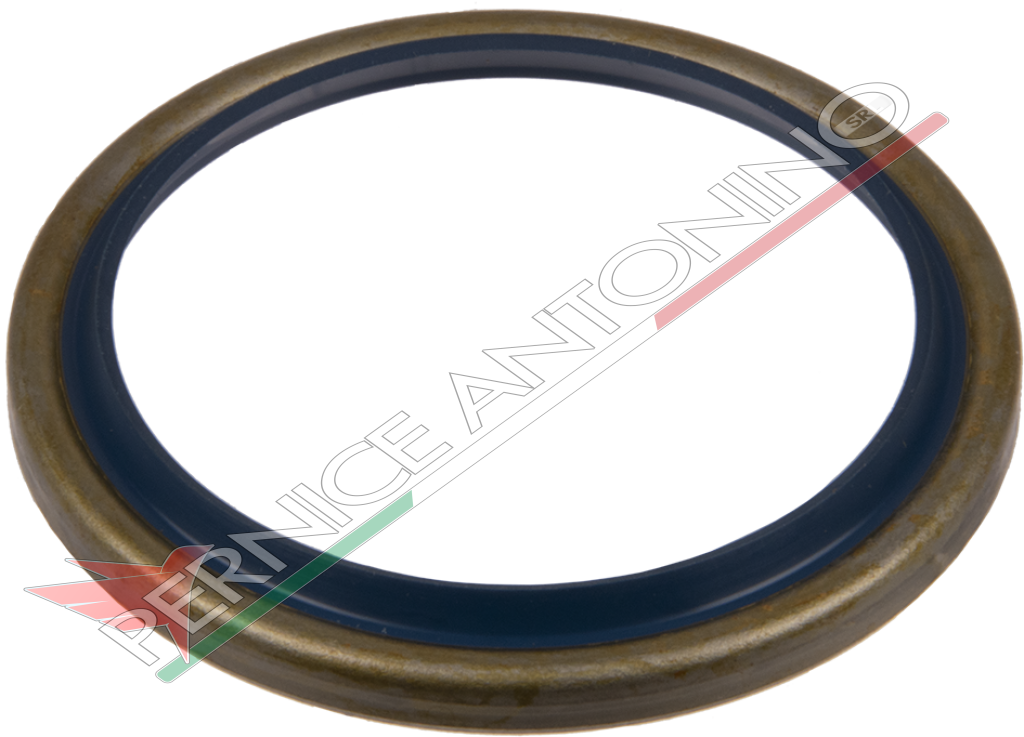 Oil Seal Ring