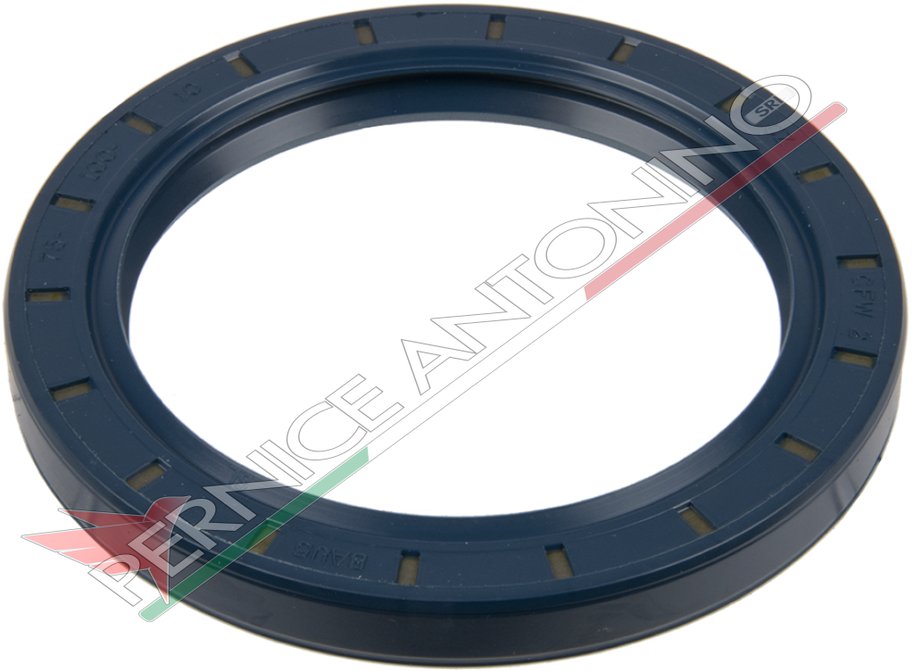 Oil Seal Ring