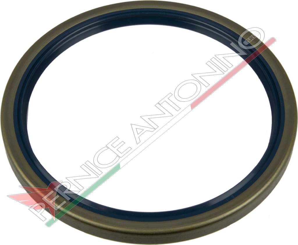 Oil Seal Ring