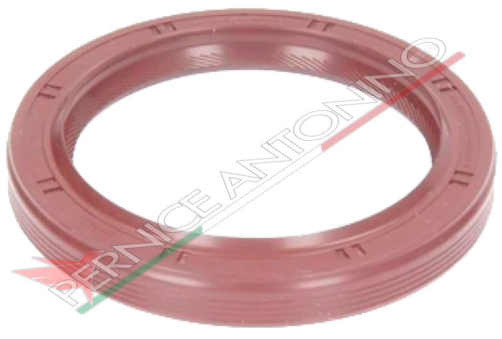 Oil Seal Ring