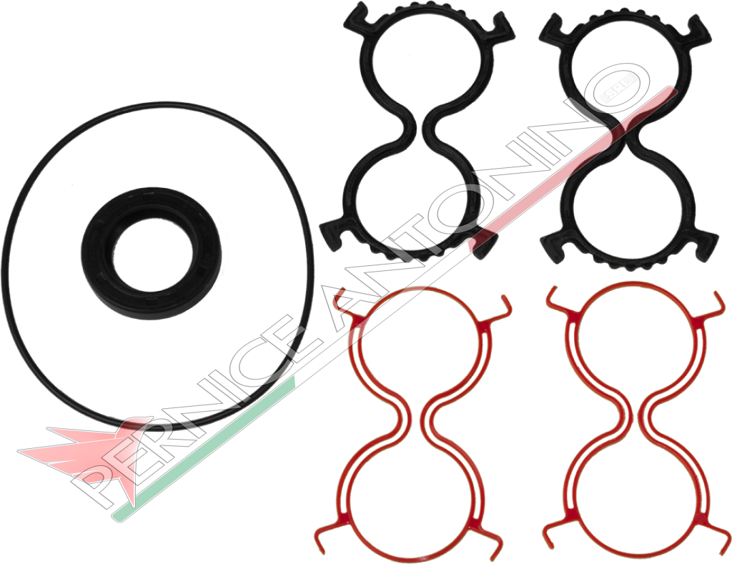 Kit guarnizioni per pompe oleodinamiche