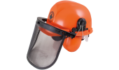 Helmet for forestry work complete with ear muffs and gauze visor