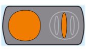 Neutral orange symbol